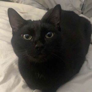 Meet your Posher, Kay